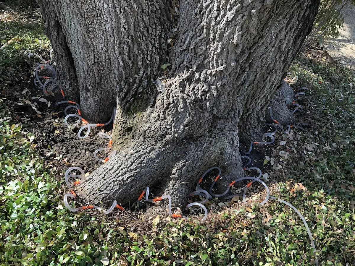 Detailed Shrub and Hedge Trimming job site in Pelican Lake