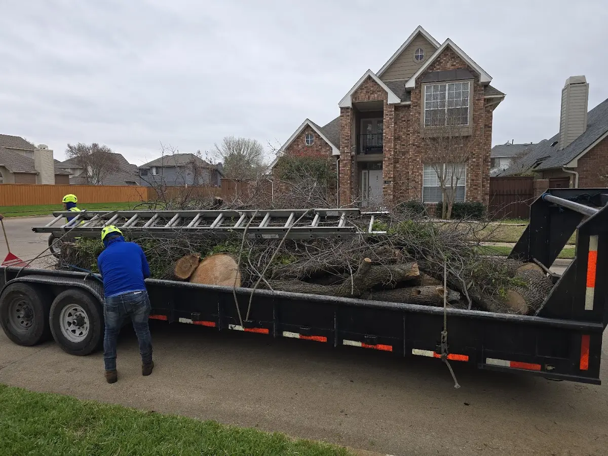 Expert Crown Reduction with proper safety equipment in Pelican Lake